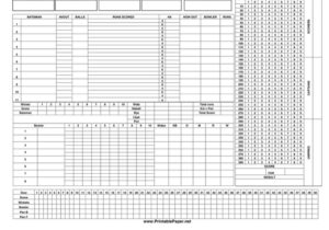 cricket score sheet excel