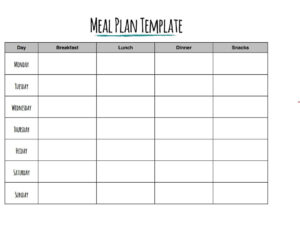 FREE 22+ Daily Use Meal Plan Templates [EXCEL, WORD & PDF] - Word Excel ...