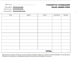 13+ Editable Sales Order Templates [in WORD & EXCEL] - Word Excel Fomats